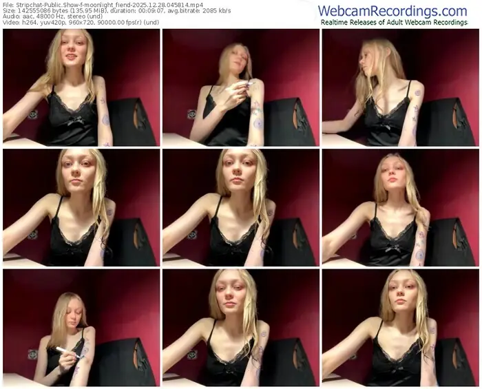 2025/12/28/stripchat-moonlight_fiend-04-58-14