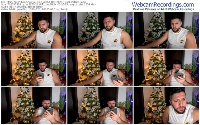 2025/12/28/stripchat-gold_alpha_boy-19-46-51