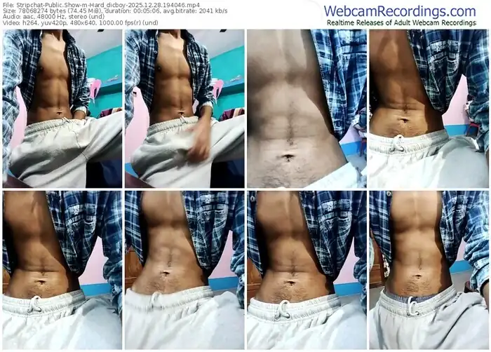 2025/12/28/stripchat-hard_dicboy-19-40-46