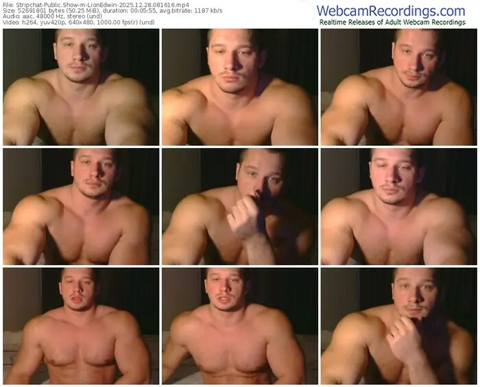 2025/12/28/stripchat-lionedwin-08-16-16