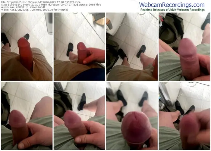 2025/12/28/stripchat-vip9696-09-58-27