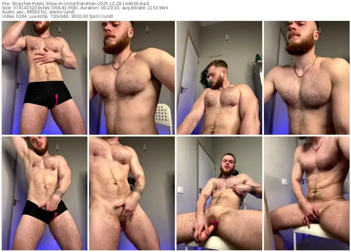 2025/12/28/stripchat-victortransman-19-46-36