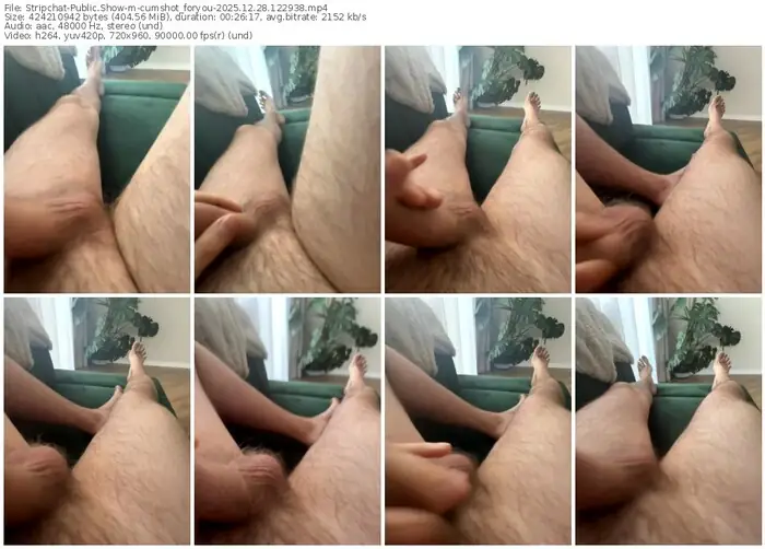 2025/12/28/stripchat-cumshot_foryou-12-29-38