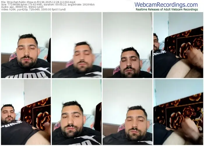 2025/12/28/stripchat-flr196-11-10-32