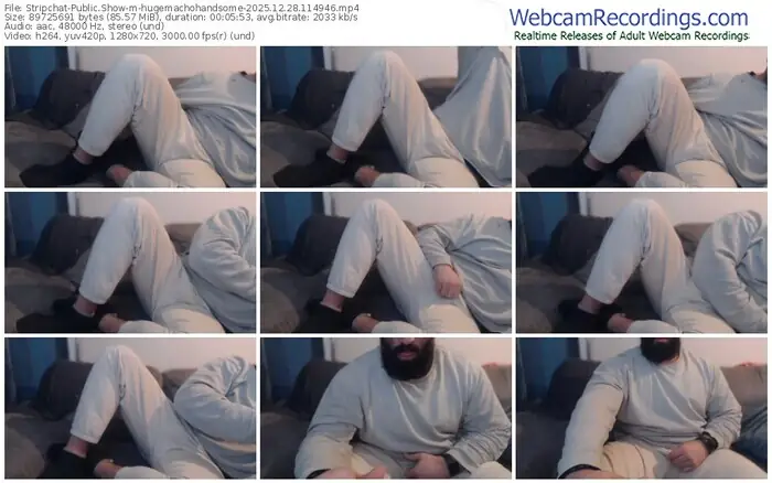 2025/12/28/stripchat-hugemachohandsome-11-49-46