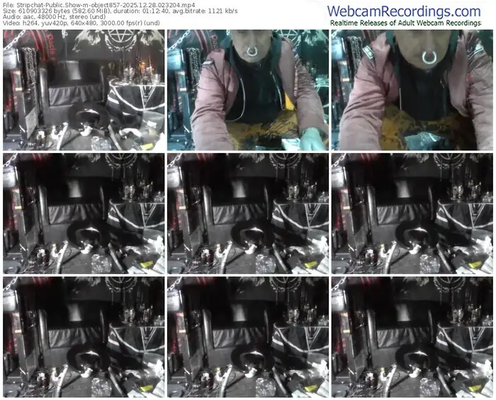 2025/12/28/stripchat-object857-02-32-04