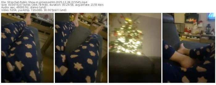 2025/12/28/stripchat-przemool90-21-55-45