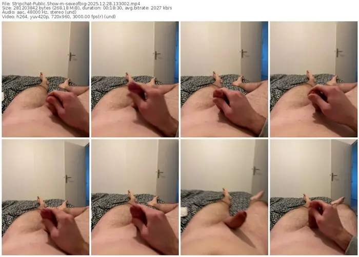 2025/12/28/stripchat-sexeofbig-13-30-02