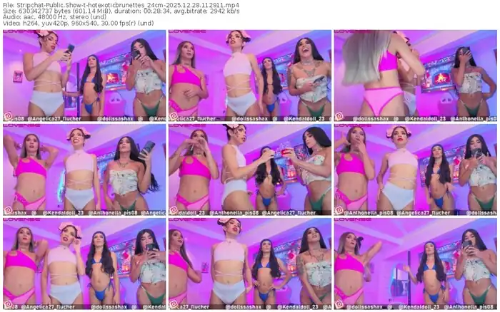 2025/12/28/stripchat-hotexoticbrunettes_24cm-11-29-11