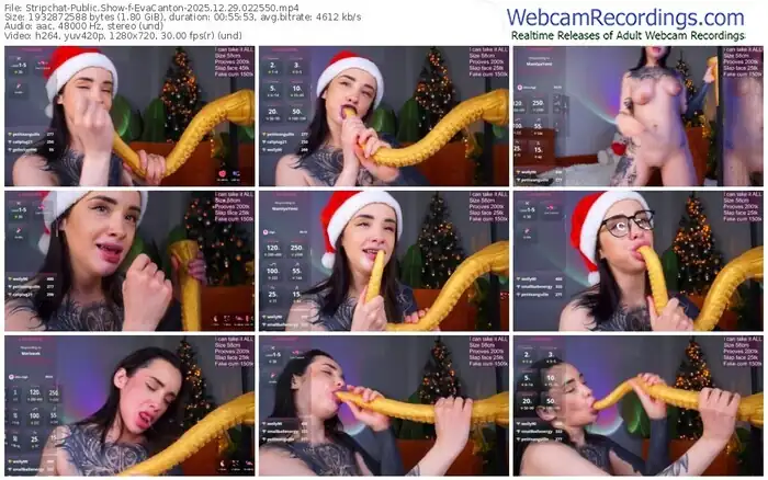 2025/12/29/stripchat-evacanton-02-25-50