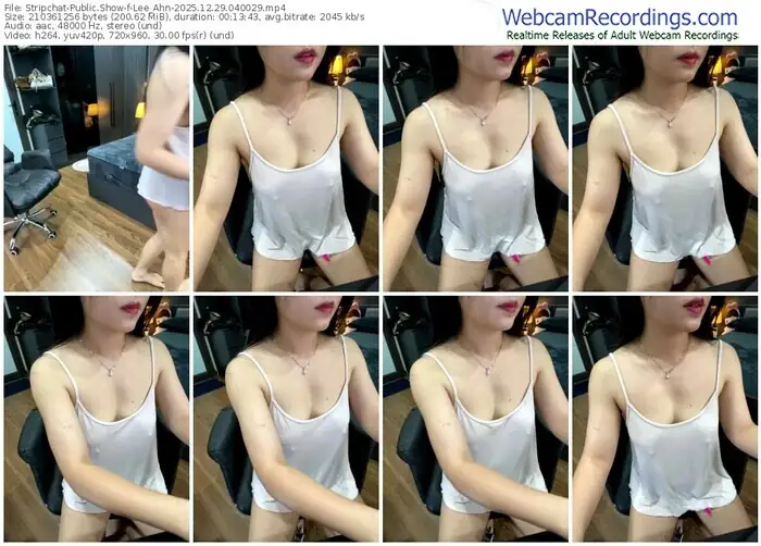 2025/12/29/stripchat-lee_ahn-04-00-29
