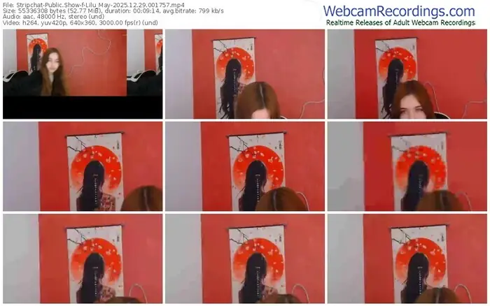 2025/12/29/stripchat-lilu_may-00-17-57