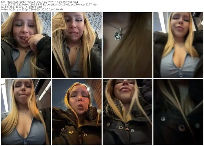 2025/12/29/stripchat-liza_risky-15-02-50