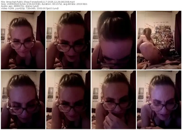 2025/12/29/stripchat-snowbird1117-08-13-08