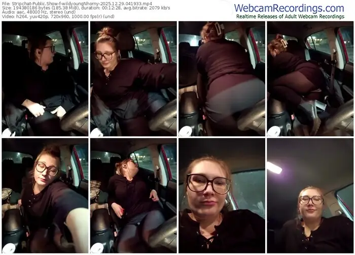 2025/12/29/stripchat-wildyoungnhorny-04-19-33
