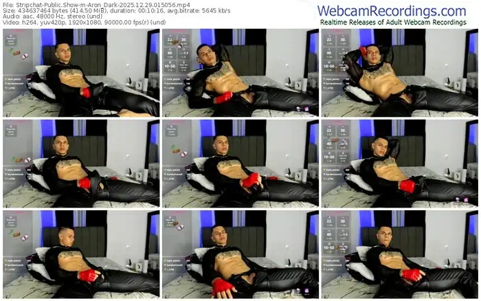 2025/12/29/stripchat-aron_dark-01-50-56