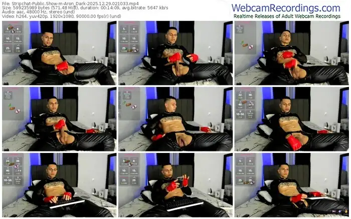 2025/12/29/stripchat-aron_dark-02-10-33