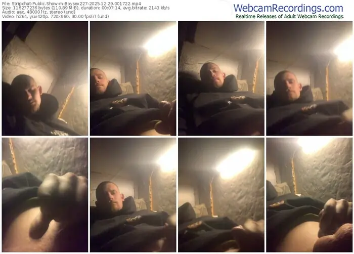 2025/12/29/stripchat-boysex227-00-17-22