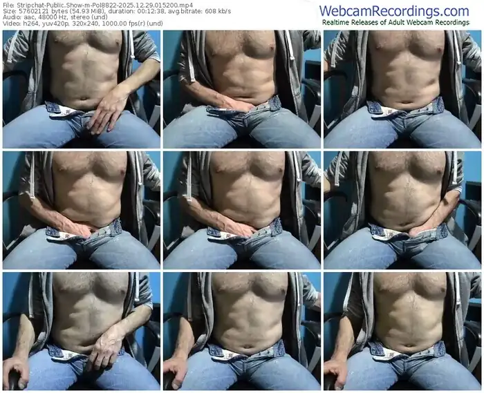 2025/12/29/stripchat-pol8822-01-52-00