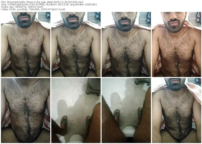 2025/12/29/stripchat-ra_jaat_dalal-01-01-00