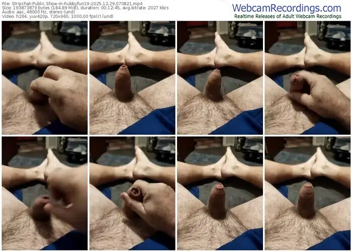 2025/12/29/stripchat-hubbyfun19-07-08-21