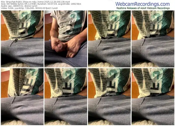 2025/12/29/stripchat-roby_home-09-11-39