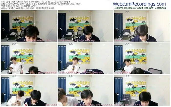 2025/12/29/stripchat-stripcha-798-13-50-43