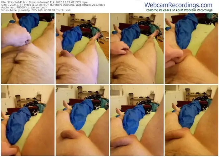2025/12/29/stripchat-tomas111k-01-13-05