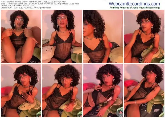 2025/12/29/stripchat-femboycarti-10-57-30