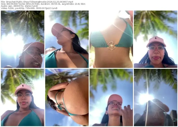 2026/02/25/stripchat-sheenabrooke-06-34-07