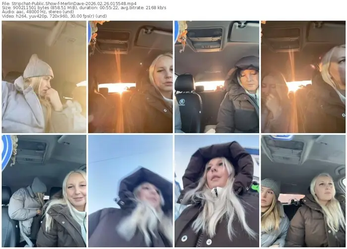 2026/02/26/stripchat-merlindave-01-55-48