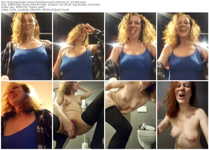 2026/02/27/stripchat-exhibitionsplit-22-19-56