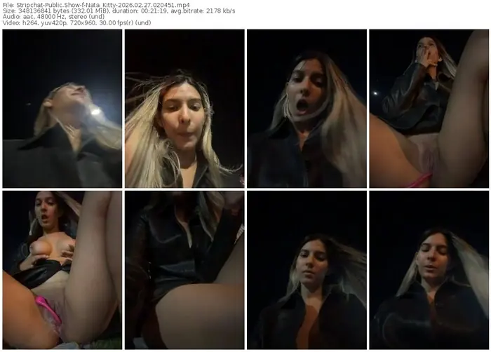 2026/02/27/stripchat-nata_kitty-02-04-51