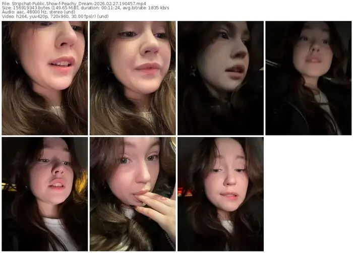 2026/02/27/stripchat-peachy_dream-19-04-57