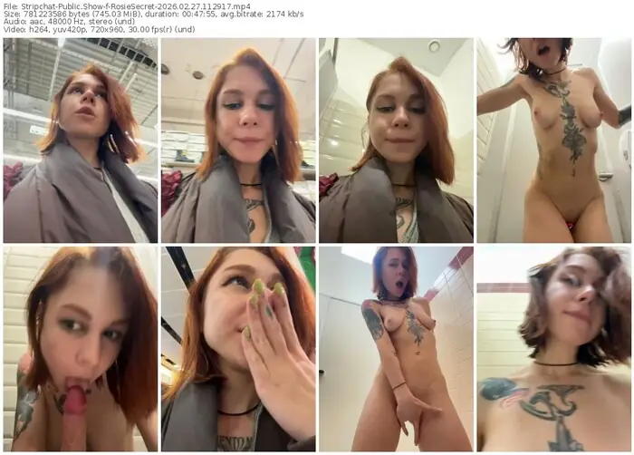 2026/02/27/stripchat-rosiesecret-11-29-17