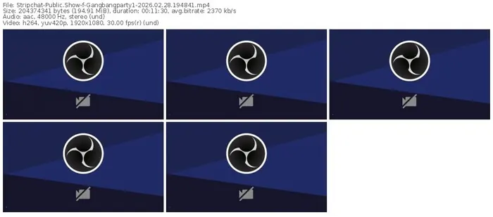 2026/02/28/stripchat-gangbangparty1-19-48-41