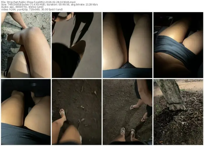 2026/02/28/stripchat-joel852-02-30-46