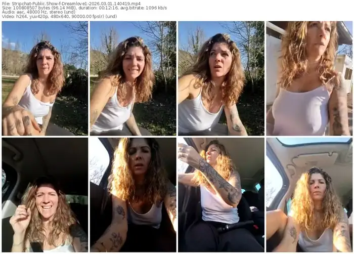 2026/03/01/stripchat-dreamlove1-14-04-19