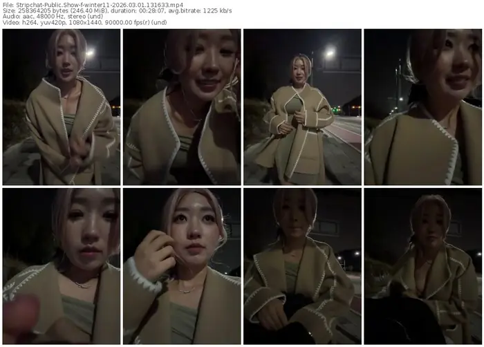 2026/03/01/stripchat-winter11-13-16-33