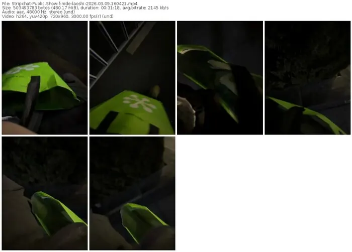 2026/03/09/stripchat-nide-laoshi-16-04-21