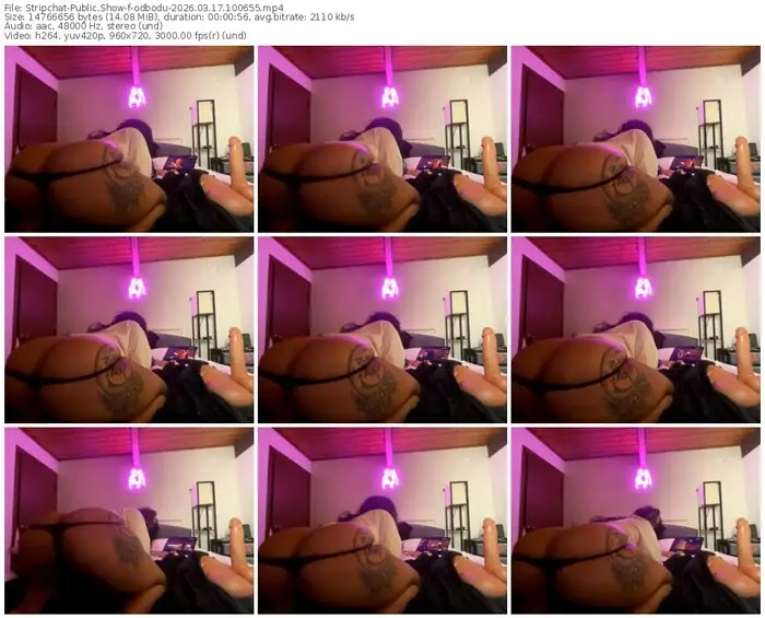 2026/03/17/stripchat-odbodu-10-06-55