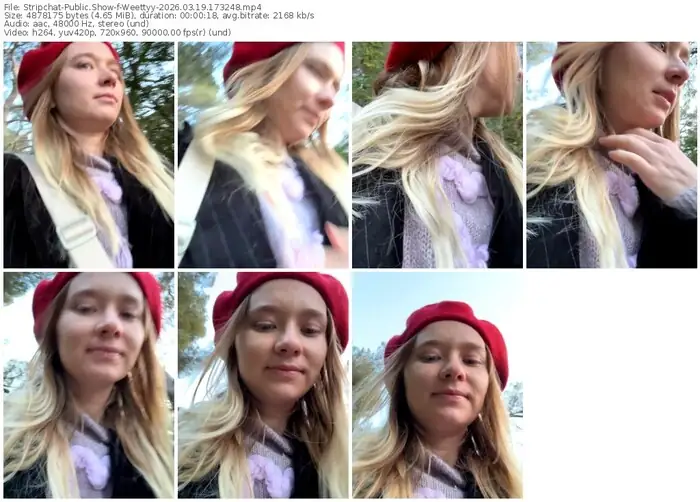 2026/03/19/stripchat-weettyy-17-32-48