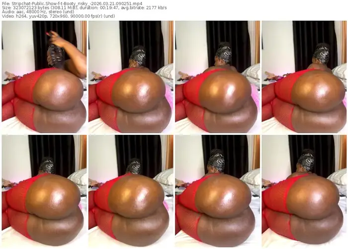 2026/03/21/stripchat-t-booty_risky_-09-02-51