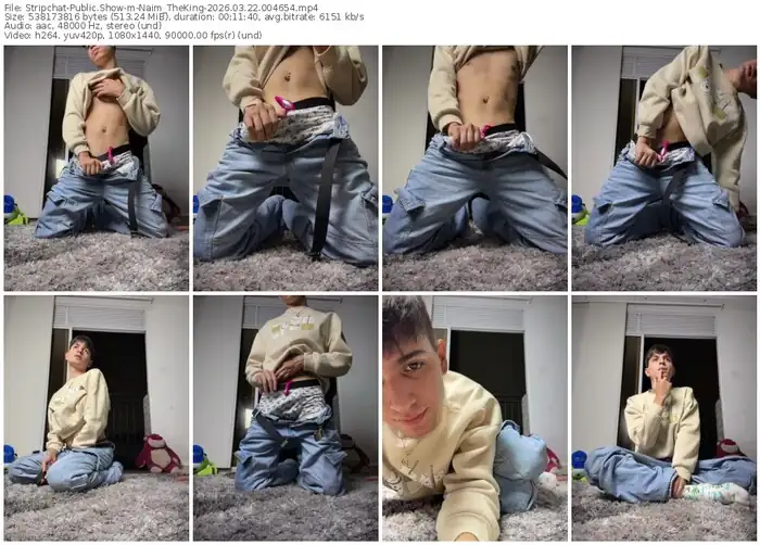 2026/03/22/stripchat-naim_theking-00-46-54