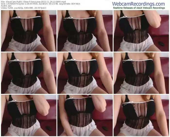 2022/11/24/xlovecam-sexyleea-11-08-40