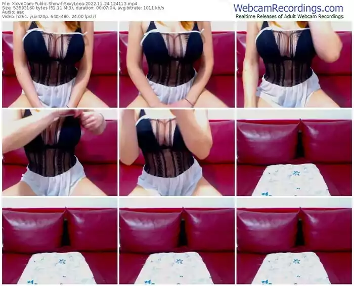 2022/11/24/xlovecam-sexyleea-12-41-13