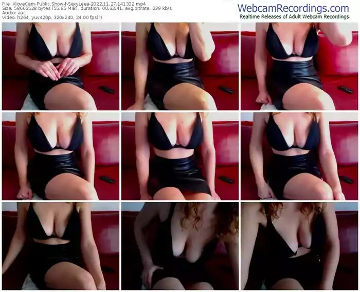 2022/11/27/xlovecam-sexyleea-14-13-32