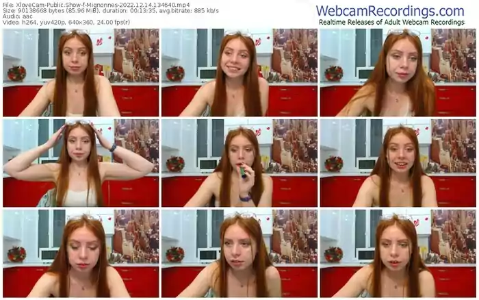 2022/12/14/xlovecam-mignonnes-13-46-40