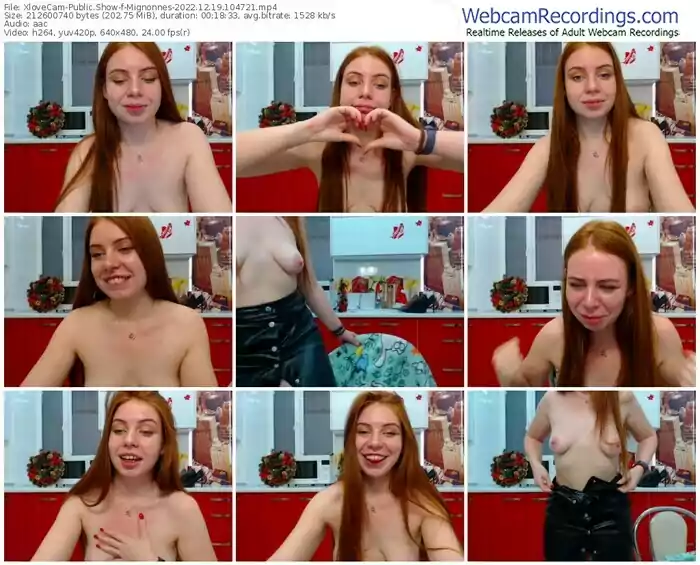 2022/12/19/xlovecam-mignonnes-10-47-21