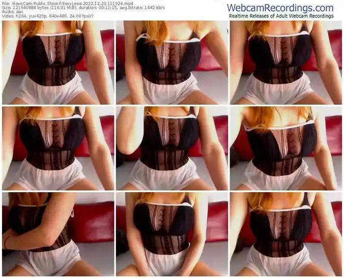 2022/12/23/xlovecam-sexyleea-11-19-24